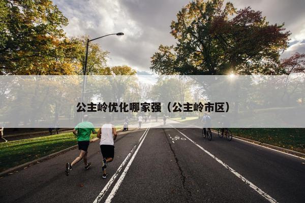 公主岭优化哪家强（公主岭市区）