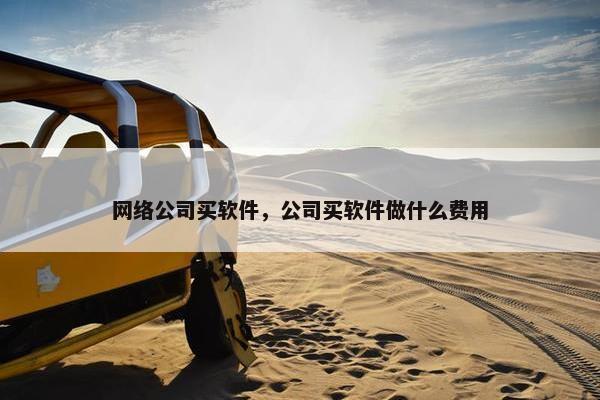 网络公司买软件，公司买软件做什么费用