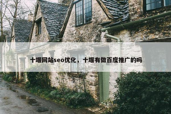 十堰网站seo优化，十堰有做百度推广的吗
