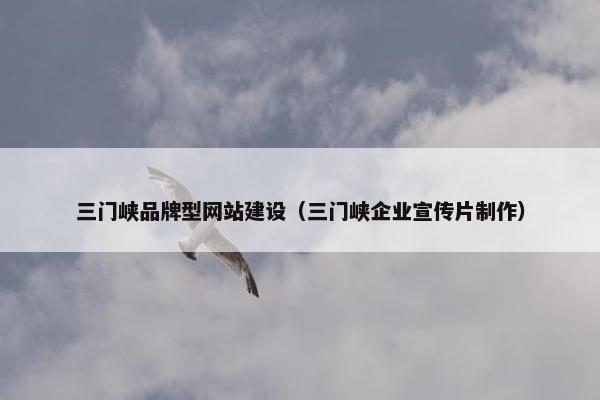 三门峡品牌型网站建设（三门峡企业宣传片制作）