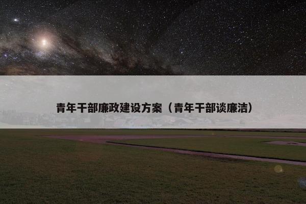青年干部廉政建设方案（青年干部谈廉洁）