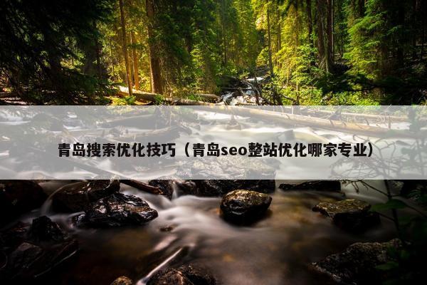 青岛搜索优化技巧（青岛seo整站优化哪家专业）