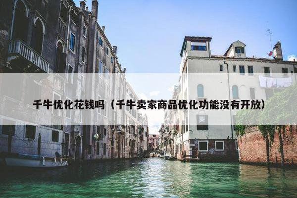 千牛优化花钱吗（千牛卖家商品优化功能没有开放）