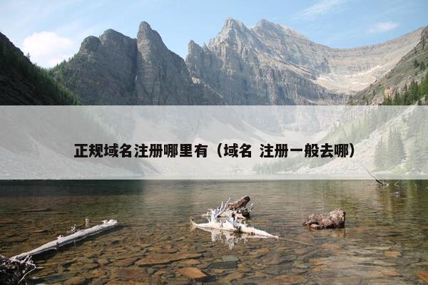 正规域名注册哪里有（域名 注册一般去哪）