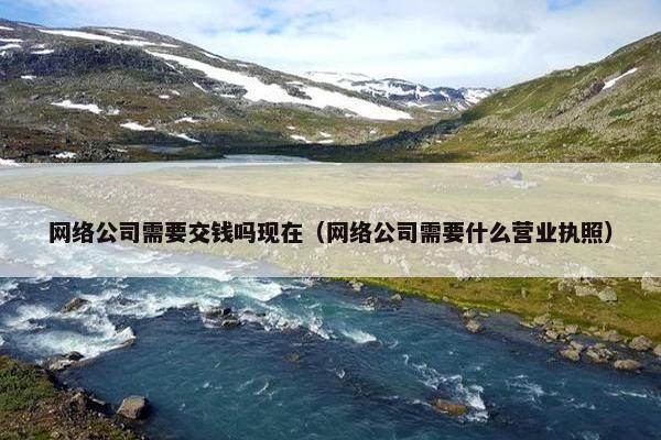 网络公司需要交钱吗现在（网络公司需要什么营业执照）