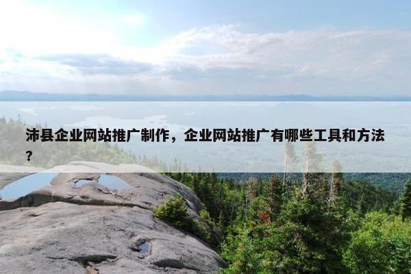 沛县企业网站推广制作，企业网站推广有哪些工具和方法?
