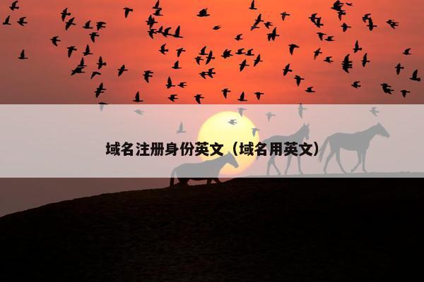 域名注册身份英文（域名用英文）