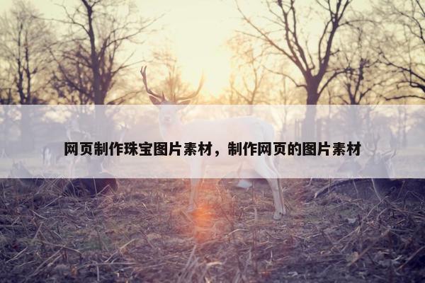 网页制作珠宝图片素材，制作网页的图片素材