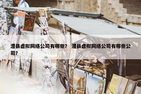 澧县虚拟网络公司有哪些？ 澧县虚拟网络公司有哪些公司？