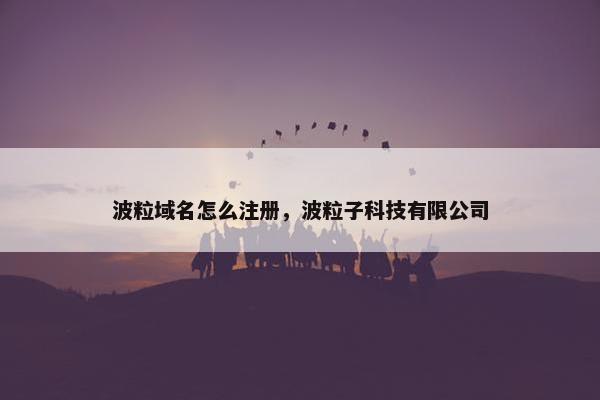 波粒域名怎么注册，波粒子科技有限公司