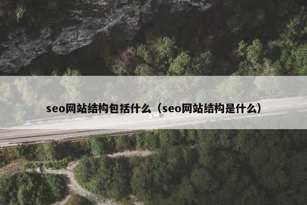 seo网站结构包括什么（seo网站结构是什么）