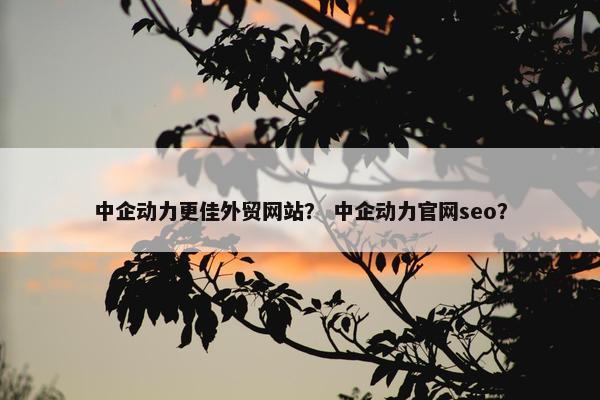中企动力更佳外贸网站？ 中企动力官网seo？
