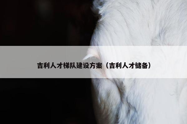 吉利人才梯队建设方案（吉利人才储备）