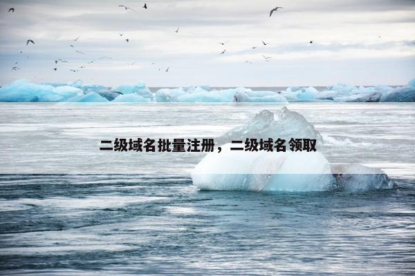 二级域名批量注册，二级域名领取