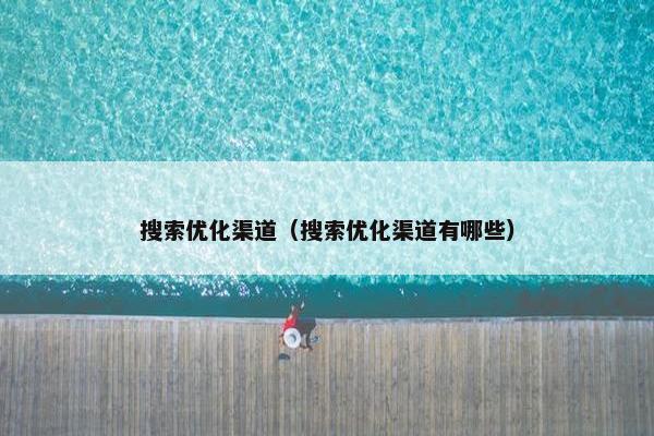 搜索优化渠道（搜索优化渠道有哪些）