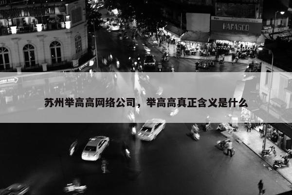 苏州举高高网络公司，举高高真正含义是什么