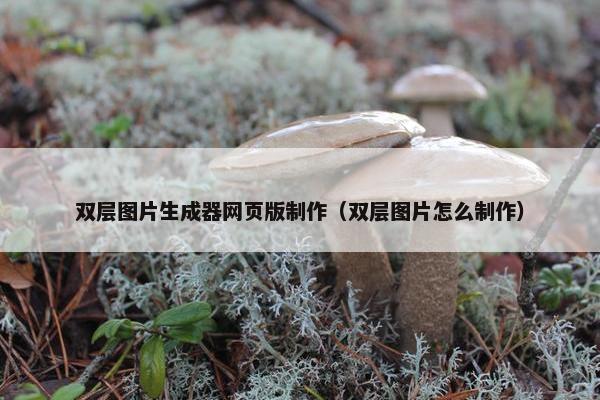 双层图片生成器网页版制作（双层图片怎么制作）