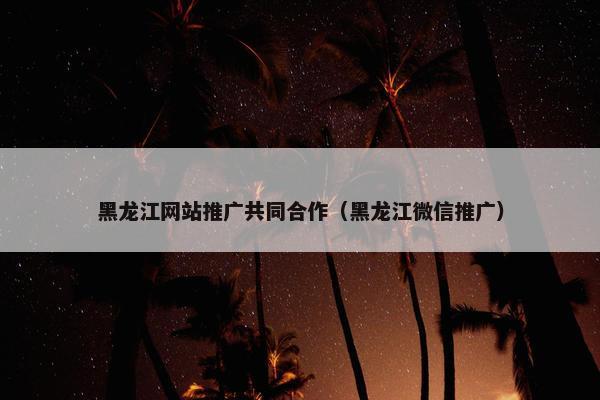 黑龙江网站推广共同合作（黑龙江微信推广）