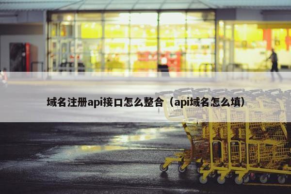 域名注册api接口怎么整合（api域名怎么填）