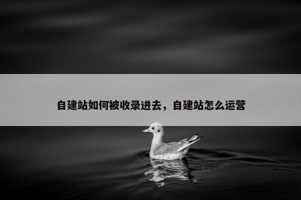 自建站如何被收录进去，自建站怎么运营