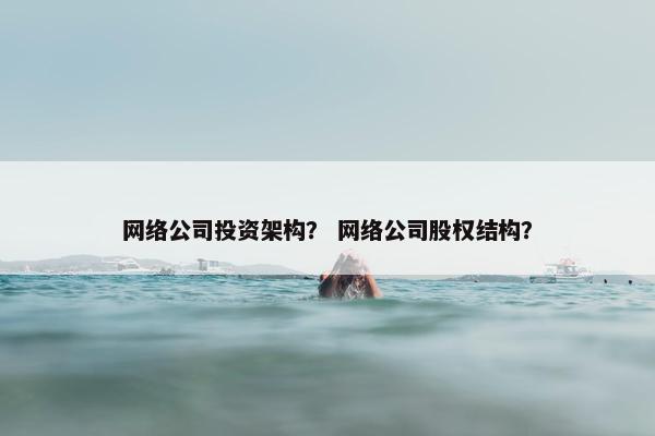 网络公司投资架构？ 网络公司股权结构？
