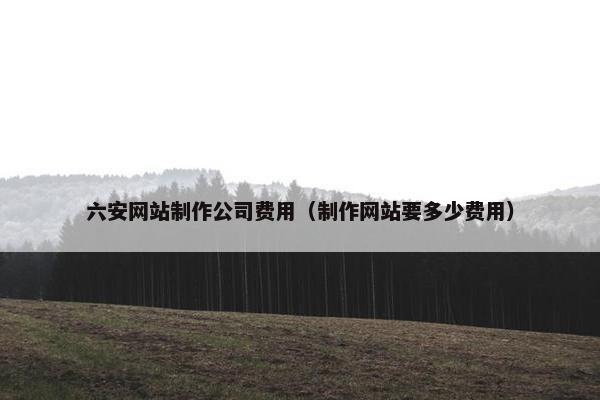 六安网站制作公司费用（制作网站要多少费用）