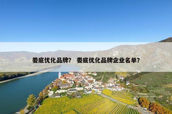 娄底优化品牌？ 娄底优化品牌企业名单？