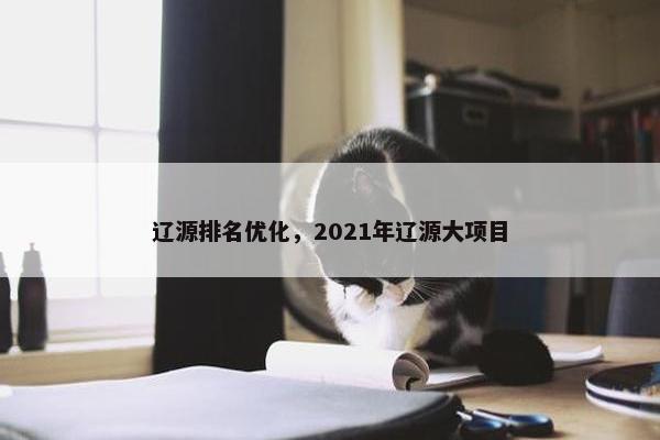 辽源排名优化，2021年辽源大项目