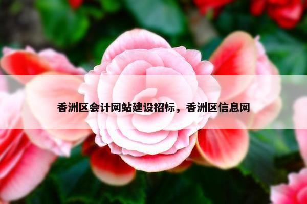 香洲区会计网站建设招标，香洲区信息网