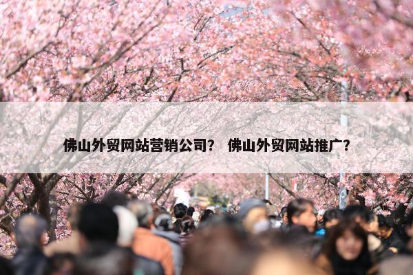 佛山外贸网站营销公司？ 佛山外贸网站推广？