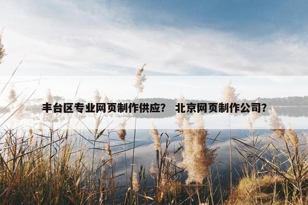 丰台区专业网页制作供应？ 北京网页制作公司？