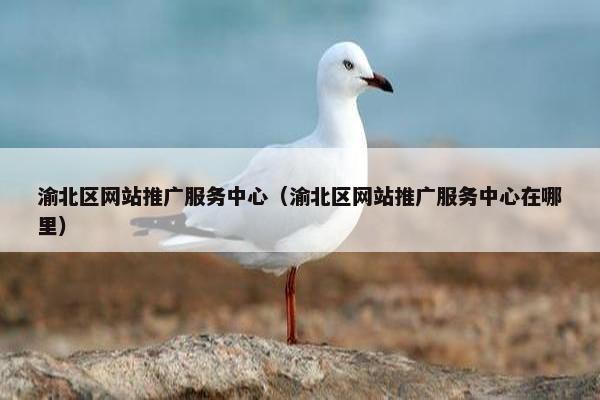 渝北区网站推广服务中心（渝北区网站推广服务中心在哪里）