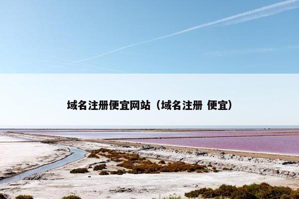 域名注册便宜网站（域名注册 便宜）