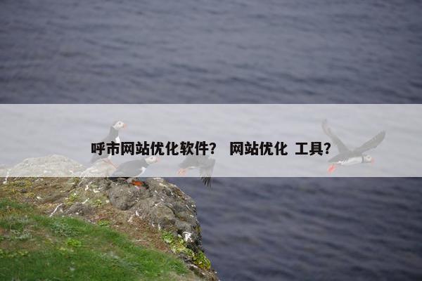 呼市网站优化软件？ 网站优化 工具？