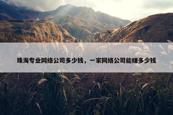 珠海专业网络公司多少钱，一家网络公司能赚多少钱