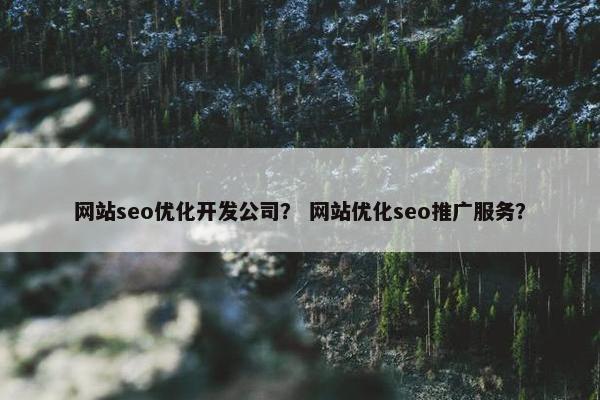 网站seo优化开发公司？ 网站优化seo推广服务？