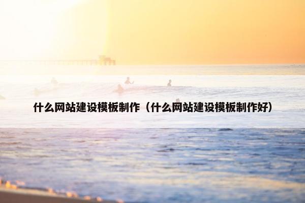 什么网站建设模板制作（什么网站建设模板制作好）