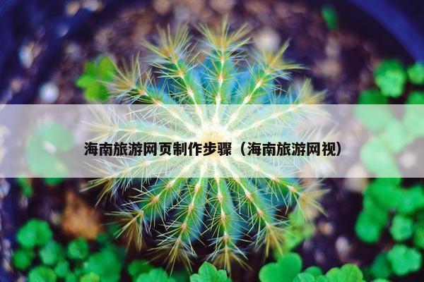海南旅游网页制作步骤（海南旅游网视）