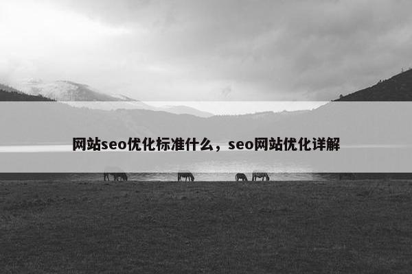 网站seo优化标准什么，seo网站优化详解