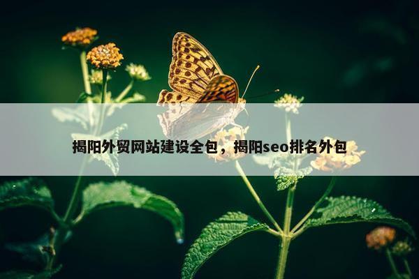 揭阳外贸网站建设全包，揭阳seo排名外包