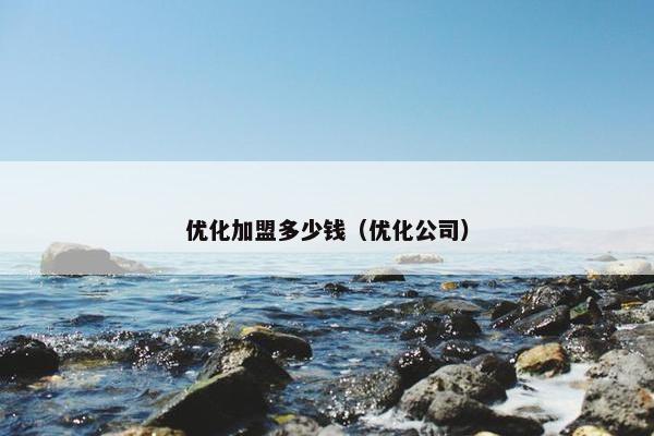 优化加盟多少钱（优化公司）