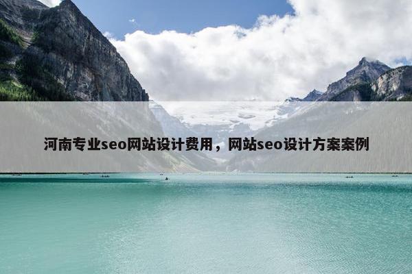 河南专业seo网站设计费用，网站seo设计方案案例