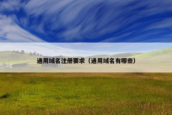 通用域名注册要求（通用域名有哪些）
