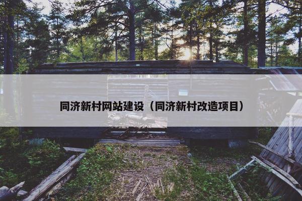 同济新村网站建设（同济新村改造项目）