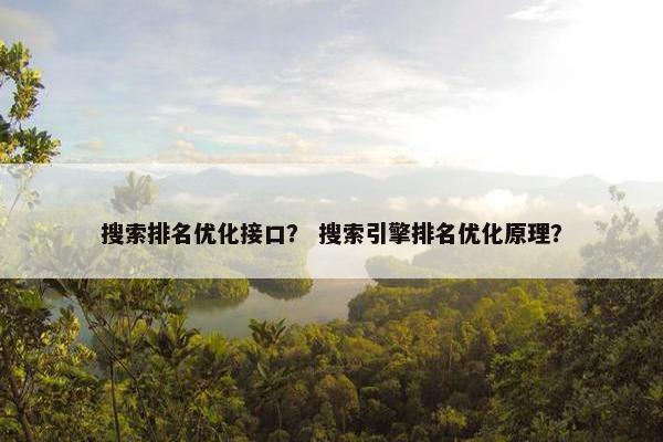 搜索排名优化接口？ 搜索引擎排名优化原理？