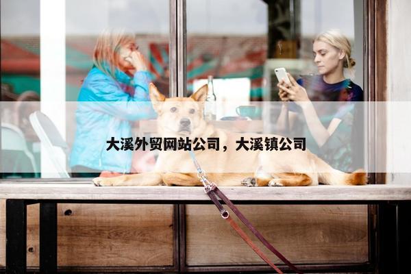 大溪外贸网站公司，大溪镇公司