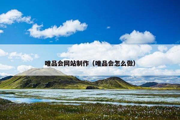 唯品会网站制作（唯品会怎么做）