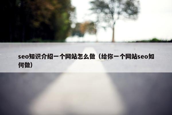 seo知识介绍一个网站怎么做（给你一个网站seo如何做）