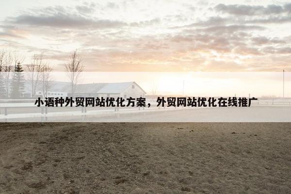 小语种外贸网站优化方案，外贸网站优化在线推广