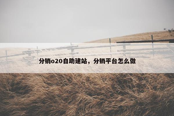 分销o20自助建站，分销平台怎么做